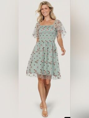 Baltic Born Tivoli Tulle Dress Sage Pink Floral Sz S Mini Embroidered Whimsical